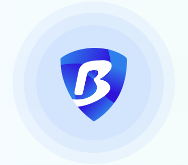 BitBrowser
