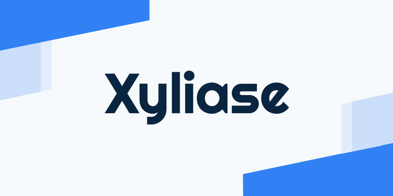 Xyliase Shop banner